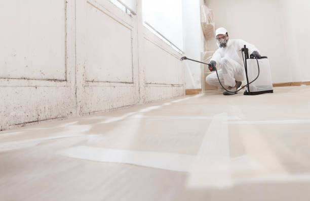 24/7 Emergency Commercial Mold Remediation experts in Williamsburg, VA