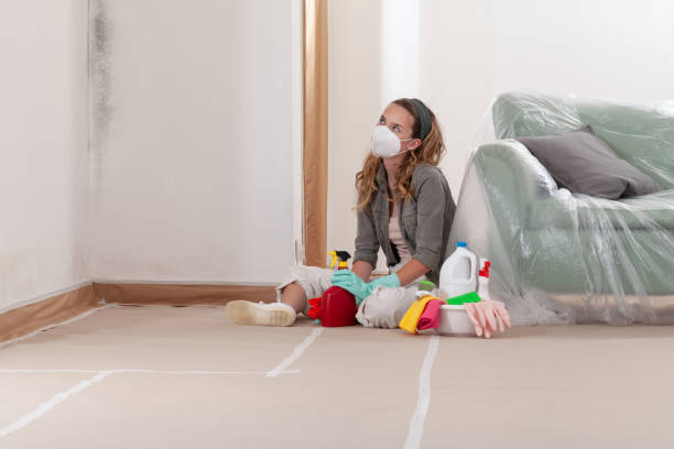 Reliable Commercial Mold Remediation contractor in Williamsburg, VA by Car Mold Remediation