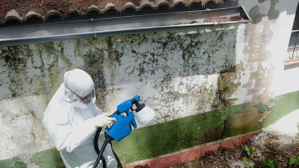 Top rated local Commercial Mold Remediation specialists in Williamsburg, VA